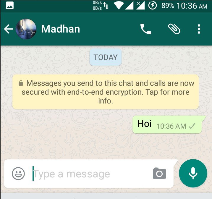 WhatsApp double tick on message