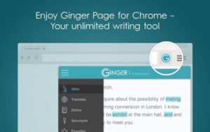 ginger grammar checker tool