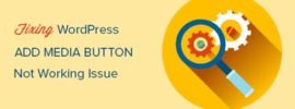 How to Fix Add Media Button Not Working in WordPress