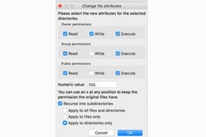 folder permissions report folder permissions report