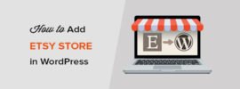 How to Add Your Etsy Store in WordPress