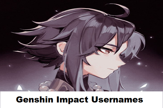 genshin impact usernames