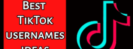 tiktok usernames
