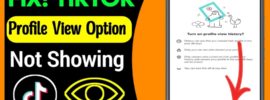 How to Fix Profile View History Not Showing on TikTok