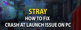 How to Fix Stray Crashing on PC