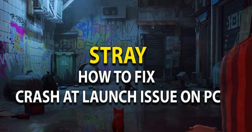 How to Fix Stray Crashing on PC