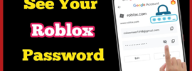 See Roblox Password