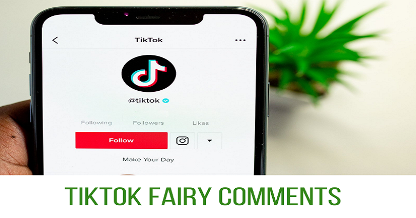 tiktok fairy comments