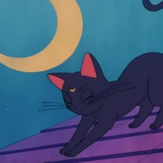 Aesthetic cartoon cat