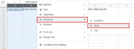 How to Fit Text in Google Sheets