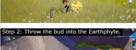 How to Solve Earthphyte Puzzles in Tower of Fantasy