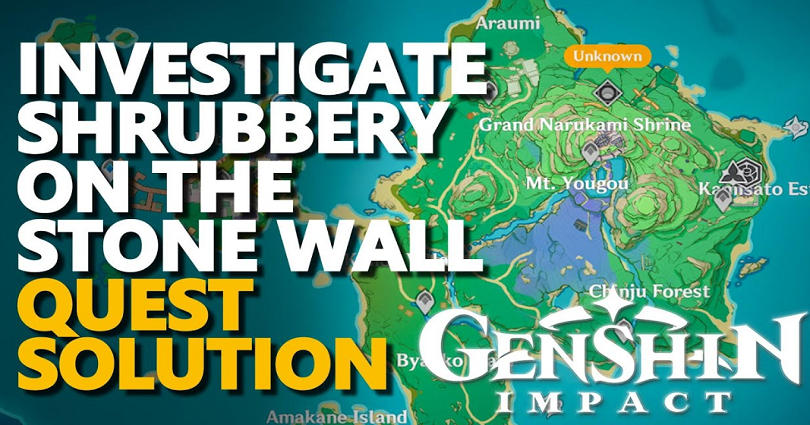 Investigate the shrubbery on the stone wall in Genshin Impact