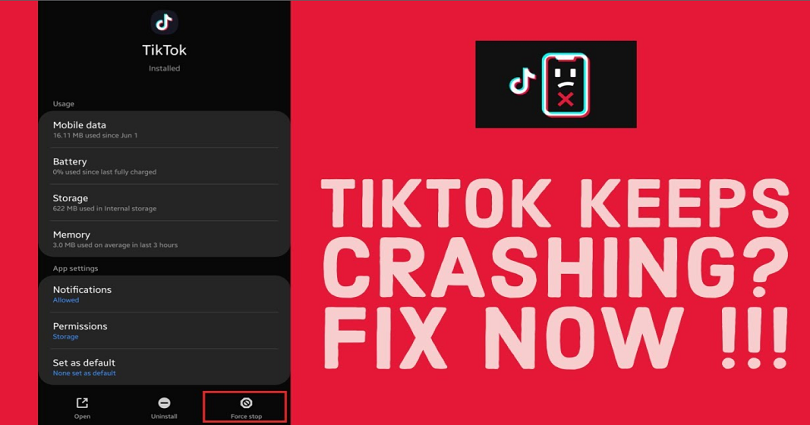 how to Fix TikTok Crashing
