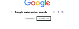 How to Do the Google Underwater Search