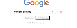 How to Enable Google Gravity