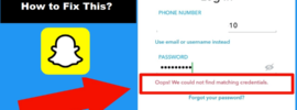 How to Fix Oops! We could not find matching credentials on Snapchat
