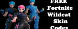 Free Fortnite Wildcat Skin Codes