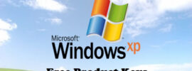 Free Windows XP Product Keys