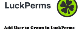 How to Add User to Group in LuckPerms