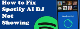 How to Fix Spotify AI DJ Not Showing