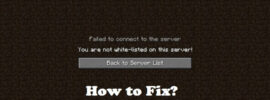 How to Fix You are not white-listed on this server on Minecraft