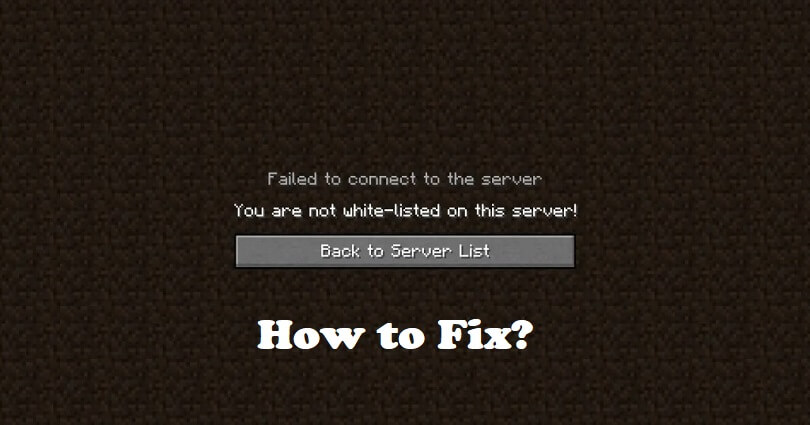 How to Fix You are not white-listed on this server on Minecraft