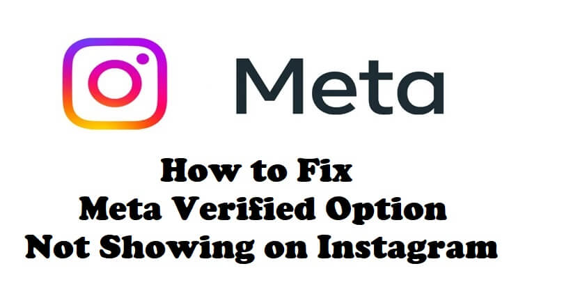 How to Fix Meta Verified Option Not Showing on Instagram