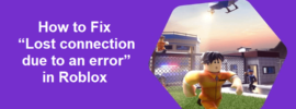 Lost connection due to an error Roblox