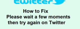 How to Fix Please wait a few moments then try again on Twitter