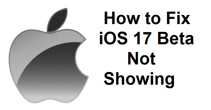 How to Fix iOS 17 Beta Not Showing