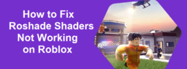 How to Fix Roshade Shaders Not Working on Roblox